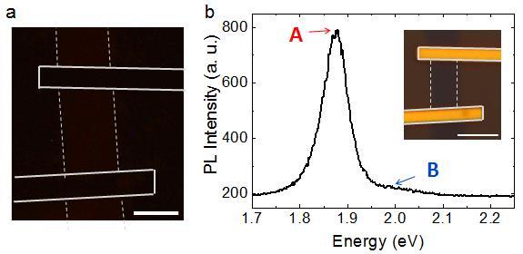 Supplementary Figure 10 Fluorescence image, optical image and photoluminescence of monolayer MoS 2 prepared by mechanical cleaving.