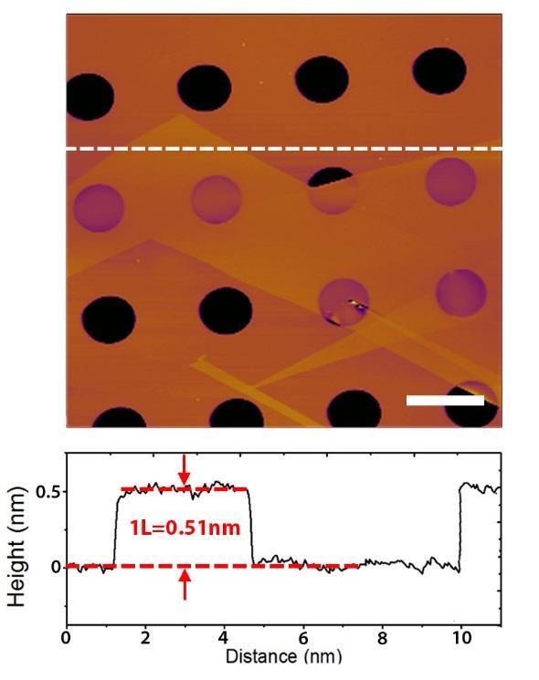 Supplementary Figure 2. Images of 1L and few-layer graphene.