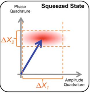Squeezed state Noise in one quadrature is reduced with respect to that of a