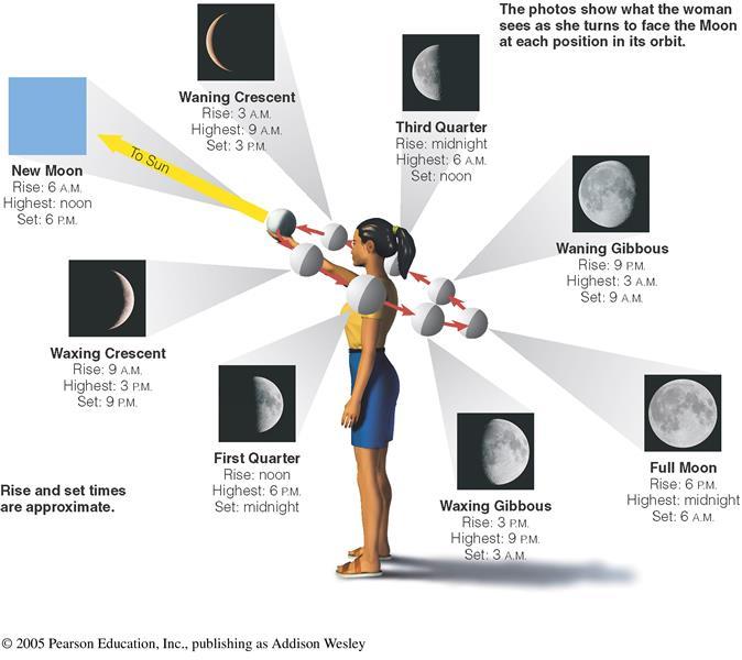 The phase of the Moon depends on the relative position