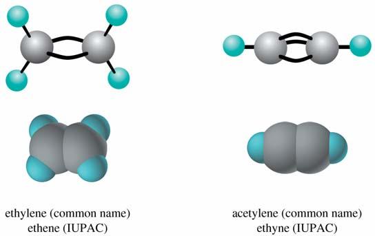 ethene (ethylene) the simplest alkyne C 2 H 2 ethyne (acetylene)