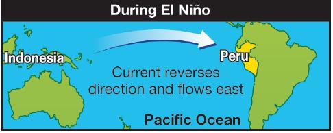 6.2 El Nino Southern Oscillations Along with warm water comes greater thunderstorm activity across the Pacific.