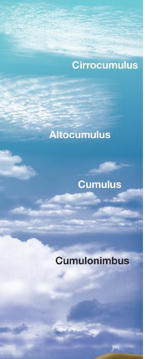 6.2 Cloud formation Cumuliform clouds are formed as air masses rise because of convection.