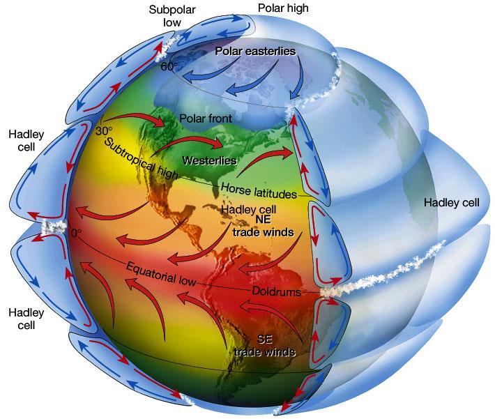 In the global wind belt regions, the prevailing direction of