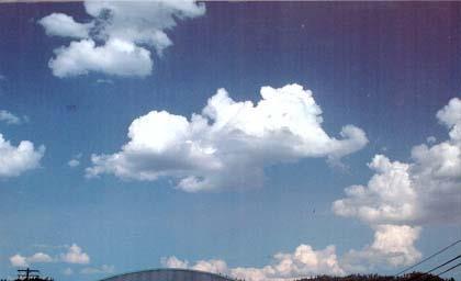 Cumulus Clouds formed at medium or low elevation.
