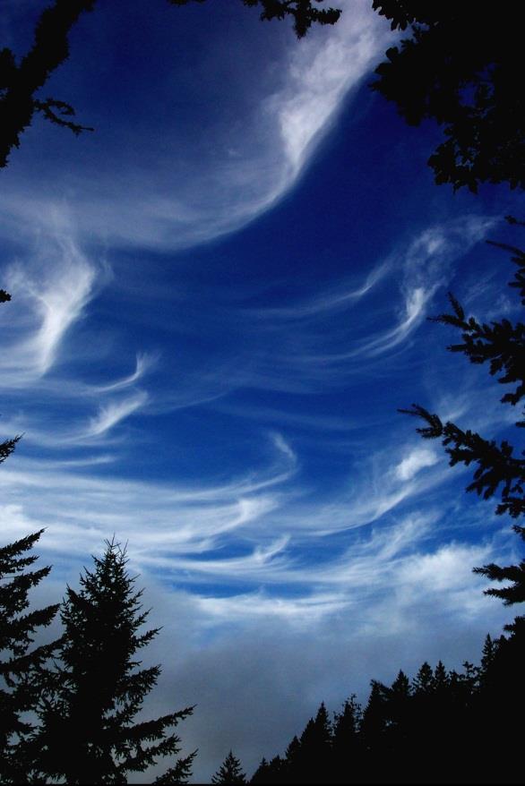 Cirrus Clouds formed at high elevations; wispy clouds usually consisting of ice