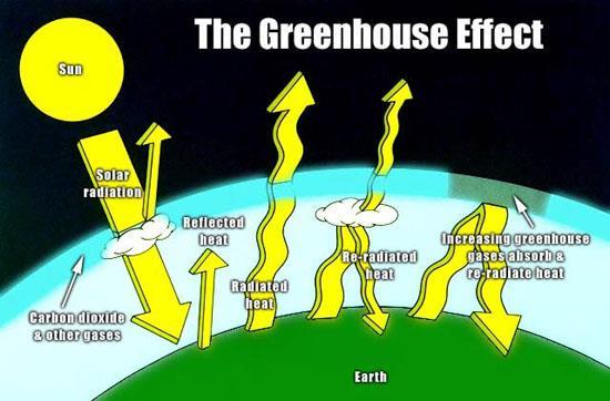 Greenhouse Effect Solar energy that is absorbed by the Earth s land and water is changed to heat that