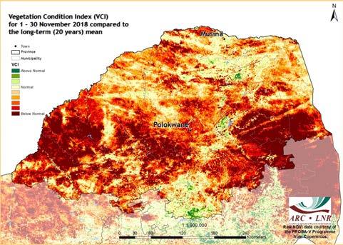 5. Vegetation Condition Index P A G E 9 Vegetation Condition Index (VCI) The VCI is an indicator of the vigour of the vegetation cover as a function of the NDVI minimum and maximum encountered for a