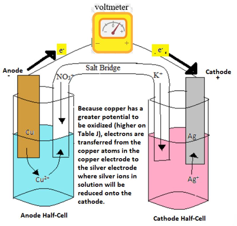 The salt bridge promotes the flow of anions to prevent the buildup of charge in either half cell.