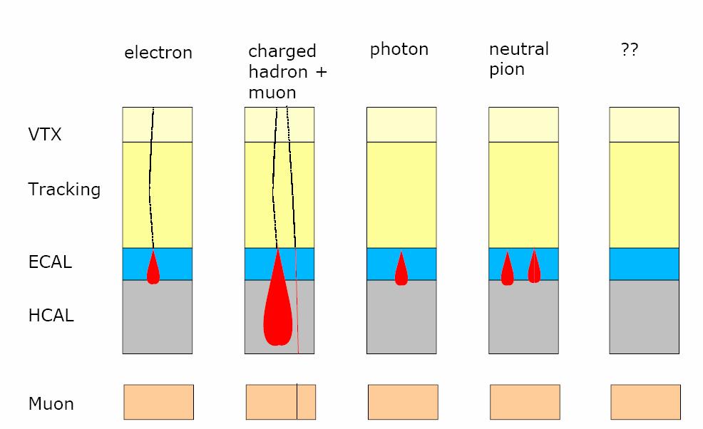 Principle of particle