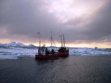 CAVIAR: some hard facts An International Polar Year (IPY) 2007-2008 cluster Led by Barry Smit, Univ of Guelph, Canada and Grete Hovelsrud, CICERO A Pan-Arctic Consortium all eight Arctic countries