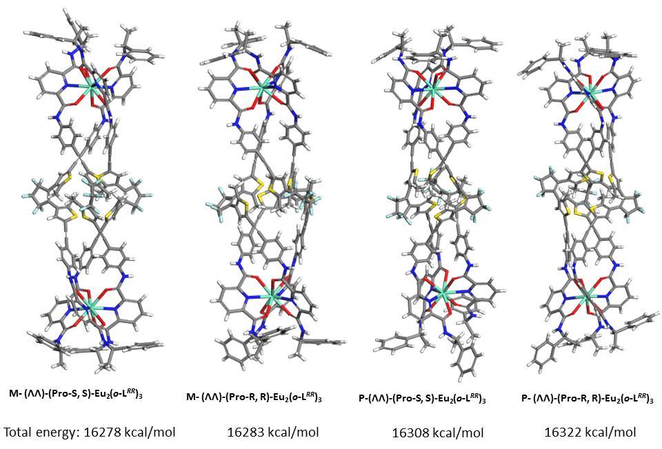 Figure S 13 Simulated molecular models of four helicates based on o-l RR ligands with the same metal centered chirality (ΛΛ).