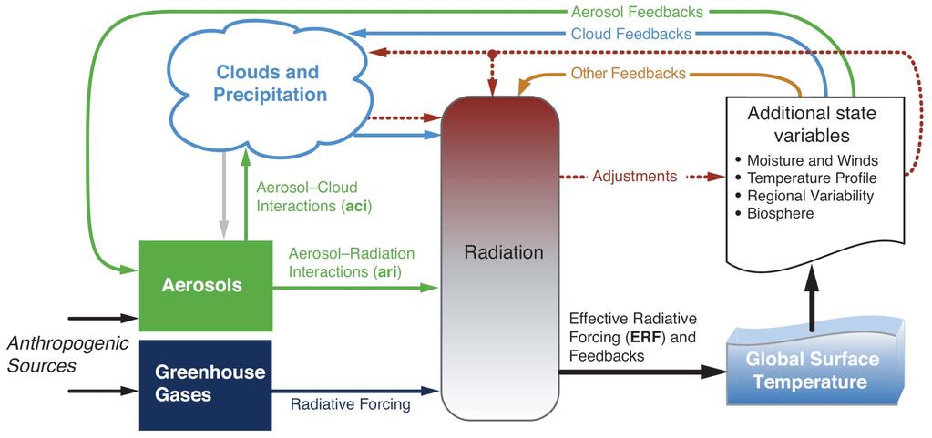 Overview of forcing and feedback pathways involving
