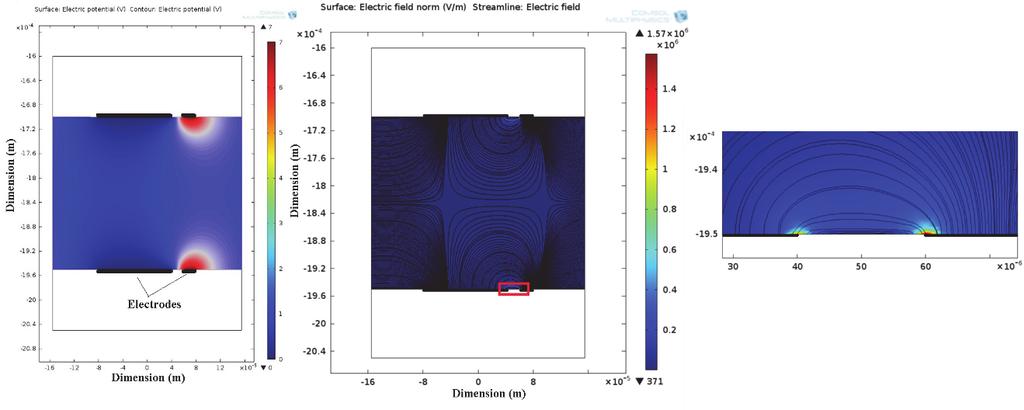 4. Results Figure 2 shows the potential and electric field distributions throughout the fluidic microchannel.