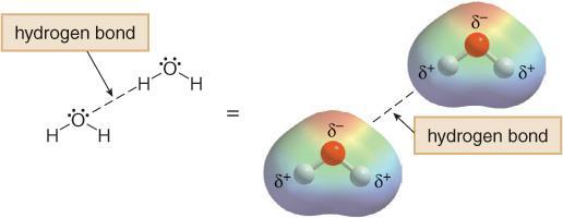 Intermolecular Forces Hydrogen Bonding Very strong interactions.