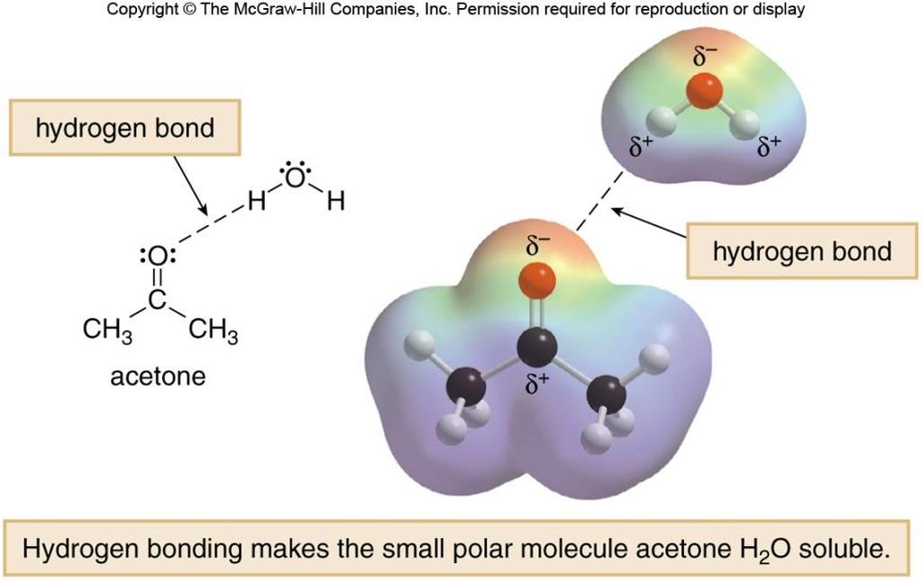 Solubility of Organic Molecules Relative size of non-polar portion to a