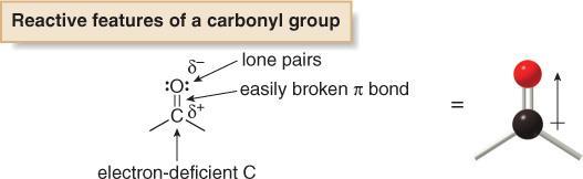 Compounds Containing the C=O Group: This group is called a carbonyl group.