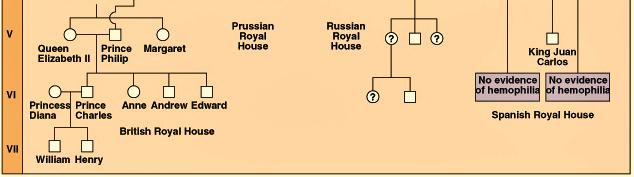 European royal family.