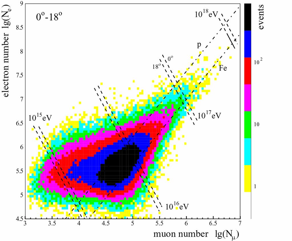 KASCADE-Grande N e -N µ correlation measurements
