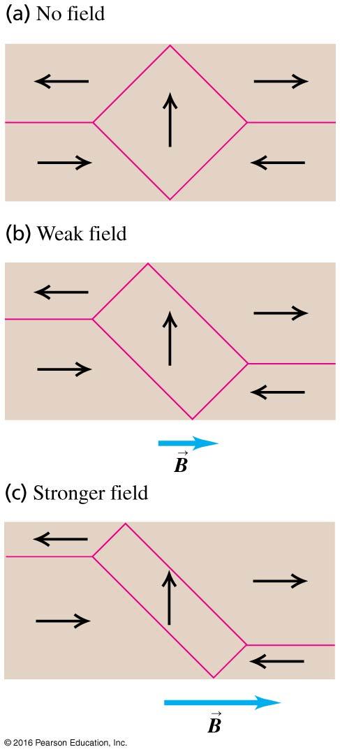Figure 23: This figure shows the magnetic domains produced in a single crystal of nickel. The material becomes magnetized as the external magnetic field is increased.