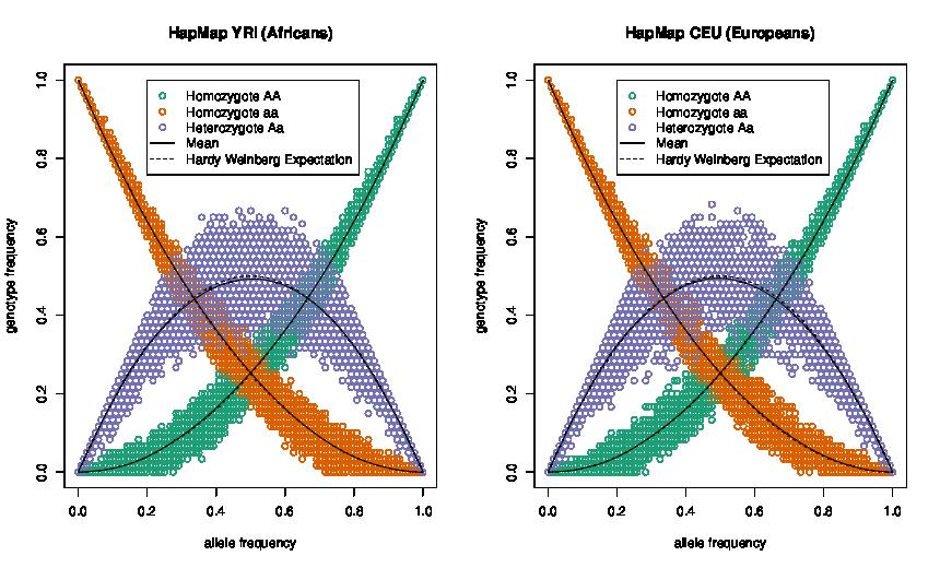 Figure 1: Demonstrating Hardy-Weinberg proportions using 10,000 SNPs from the HapMap CEU European and YRI African populations.