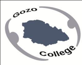 GOZO COLLEGE Track 3 Half Yearly Examinations for Secondary Schools 2011 FORM 4 PHYSICS TIME: 1h 30min Name: Class: Answer all questions. All working must be shown. The use of a calculator is allowed.
