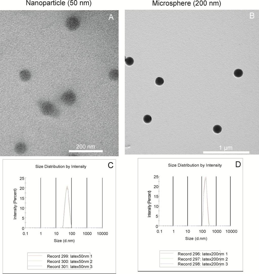 PART I Supplement Figures Figure S1 TEM and DLS measurement of 50 nm nanoparticles and 200 nm microspheres in the experimental solution.