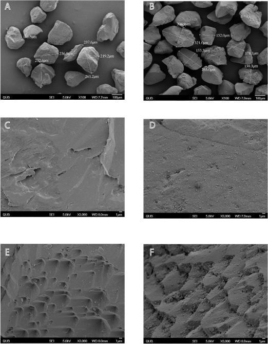 Figure S3: Scanning Electron Microscope (JEOL JSM 6500F Field Emission Scanning Electron Microscope) images of uncoated and Fe-oxide-coated sands.