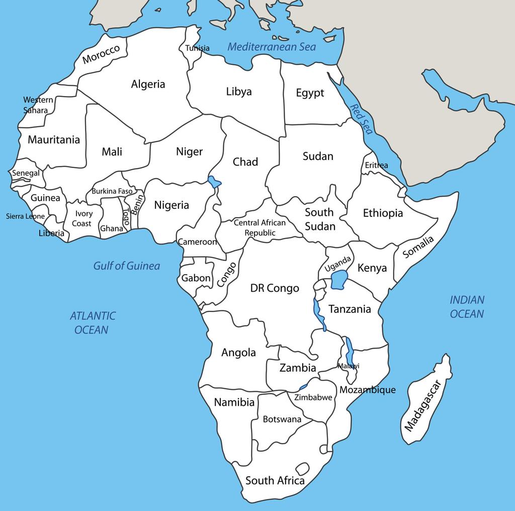 AFRICAN CLIENT LIST - RECENT n Niamaya Gold (Au) - Senegal n Algold Resources (Au) - Mauritania n Managem (Au, Ag) Morocco, Sudan n Newcrest Mining (Au) Côte
