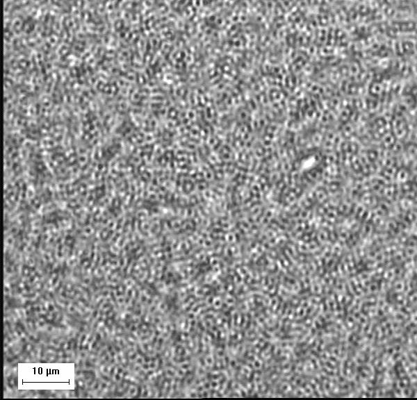 nanostructures Materia soffice Design and Synthesis of polimer films from
