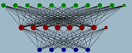 Networks Genetic