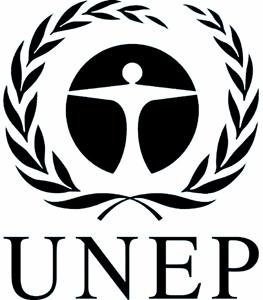 UNITED NATIONS EP United Nations Environment Programme UNEP (DEPI)/RS.12 /INF.6.