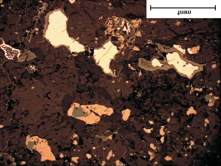 Fig. 2. Kamacite (white), troilite (pinkish) in Terespol-1 ordinary chondrite (reflected light, PPL) small light metal inclusions and its chondrules are recrystallized with poorly defined boundaries.