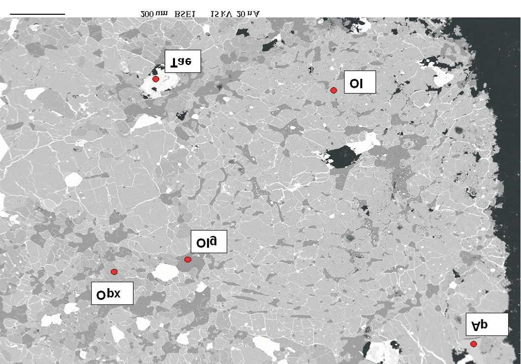 Fig. 3. Back-scattered electron micrograph of Terespol-1 ordinary chondrite.