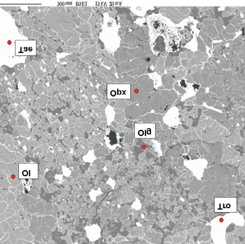 Fig. 4. Back-scattered electron micrograph of Terespol-2 ordinary chondrite.