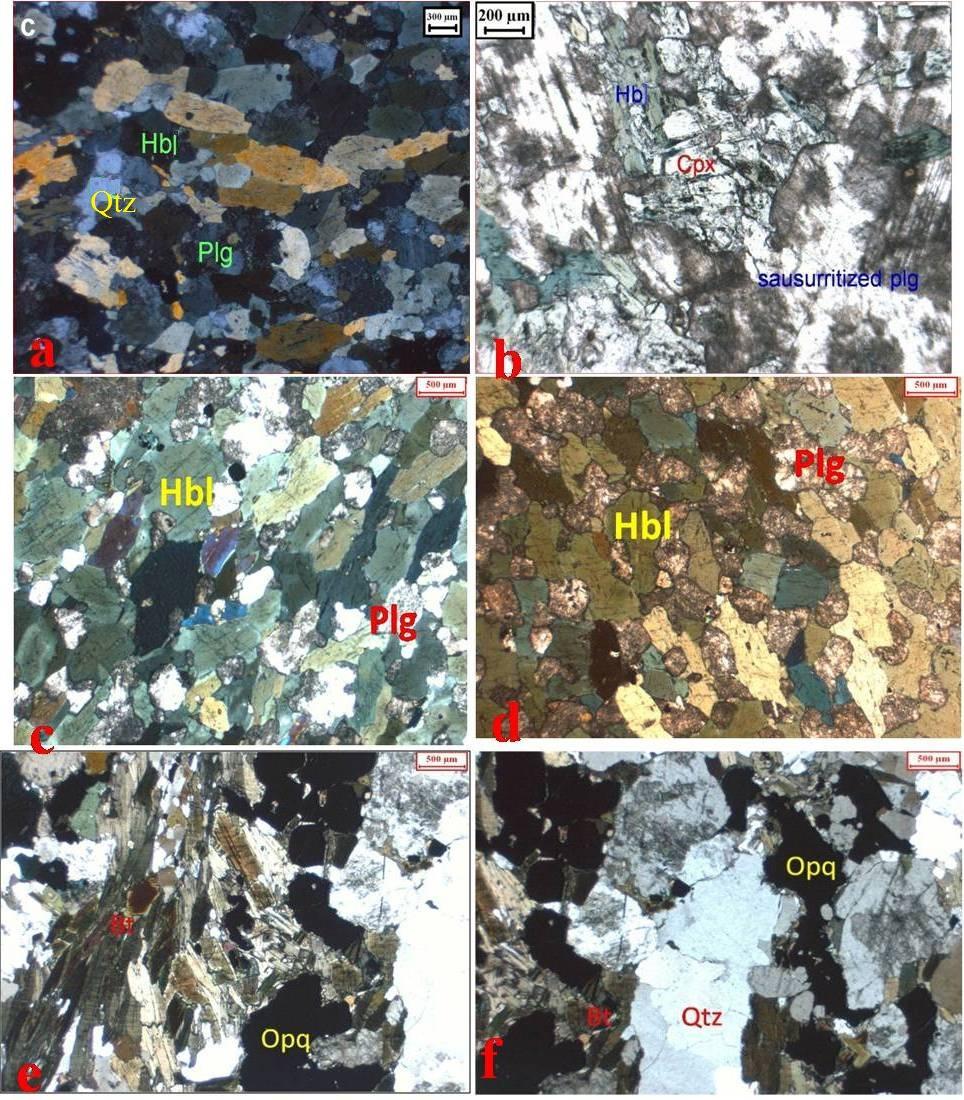 Fig.3.4 Photomicrographs taken from the thin sections showing preferred alignment in hornblende in KIL-13 (Fig.a), saussuritization of plagioclase in KIL-14 (Fig.