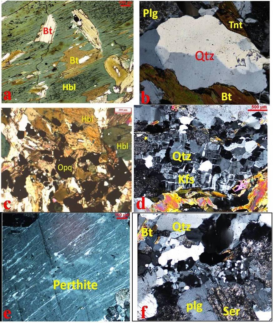 Fig.3.5 Photomicrographs taken from the thin section of the sample KIL-25 showing biotitization (Fig.a), undulose extiction in quartz (Fig.b), hornblende and opaque minerals (Fig.