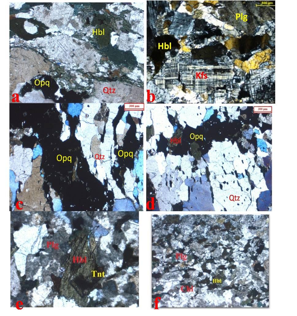 Fig.3.7 Photomicrographs taken from the thin sections of the samples showing, shearing effect in KIL-36 (Fig.a), plagioclase, k-feldspar and hornblende in KIL- 40 (Fig.b).