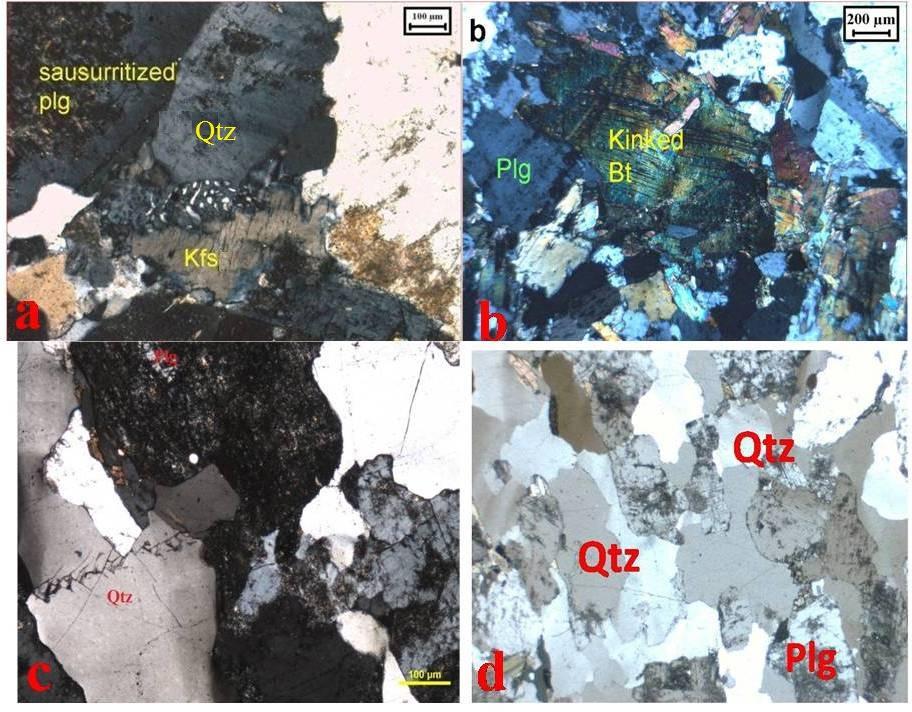 Fig.3.8 Photomicrographs taken from the thin sections showing, myrmekitic texture in contact with plagioclase and perthetic feldspar in KIL-20 (Fig.a), kinked biotite in KIL- 20 (Fig.