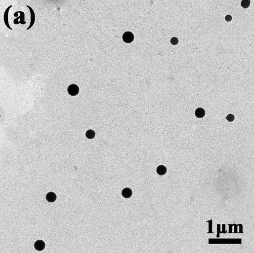 Fig. S3 TEM images of PAZN micelles from Diox at different initial
