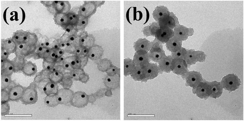 Fig. S4 TEM images of Au/POMA yolk/shell nanostructures derived from Au/POMA core/shell nanostructures (Fig.