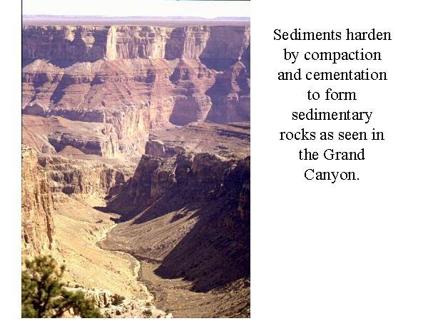 The heavy sediments press down