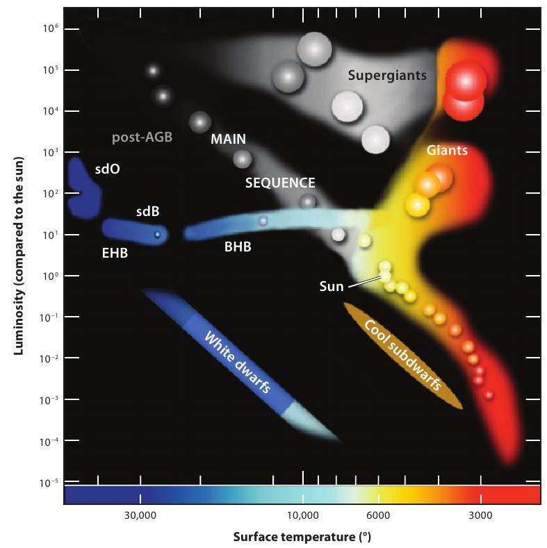 Hot subdwarf stars Hot subdwarf stars: Evolved low-mass stars with burning He core and thin H envelope (Heber 2009) Spectrally classified in: sdo (T > 40,000 K) sdb (T <