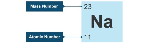 All the different elements are arranged on the periodic table. The elements are arranged in order of increasing atomic number.