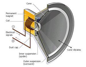 A coil, known as the voice coil, is suspended between an inner magnetic pole and an outer pole that surrounds it. The radial field of the magnet crosses every part of the coil at right angles.