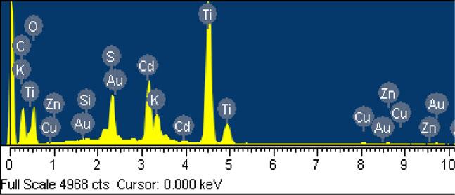 Preparation of novel CdS-graphene/TiO 2 composites 873 (a) (b) Figure 4. EDX elemental micro-analysis spectra of CdS-graphene and CdSgraphene/TiO 2 :(a) 0 1CGand(b) 0 1CGT. Table 2.