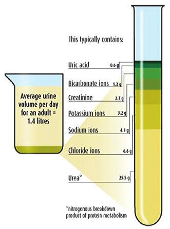 However, human urine is a complex matrix containing high levels of urea, uric acid, proteins, fats, sodium, potassium, bicarbonate and chloride, as represented in Figure 1, which shows chemical
