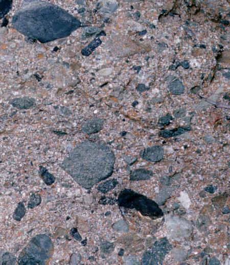 Sedimentary rocks are younger than the sediments and the cements that formed them. Image taken from http://www.