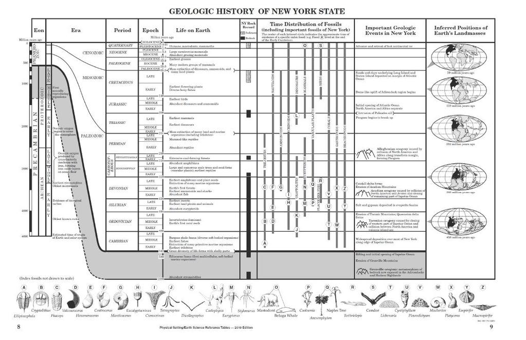 Important fossils of NYS are found in ESRT on pp.8 & 9.