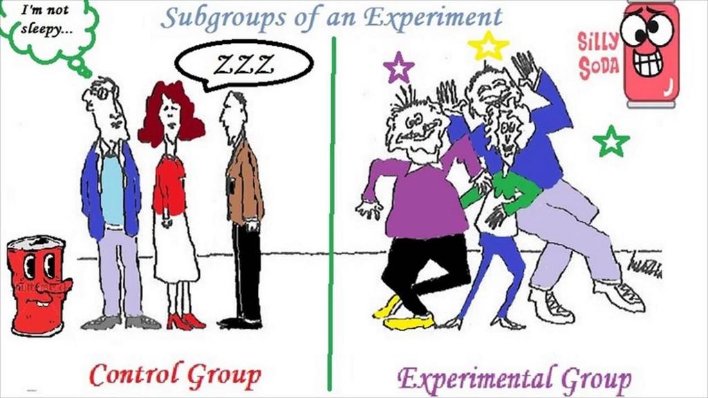 o Control Group: the group that doesn t receive the treatment The standard of comparison important in order to compare